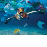 Save the turtles and our planet!