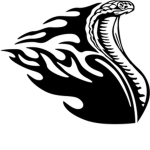 FLAMING COBRAS!