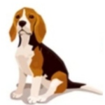 Moni'sBeagles