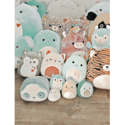 Squishmellow city:D