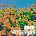 soft cottage.