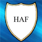Hidden Assault Forces
