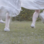 /dtifairies
