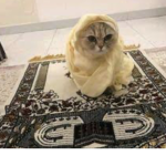 Akademi Islamique
