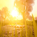 Picnic ShowCase