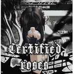 -certified roses-