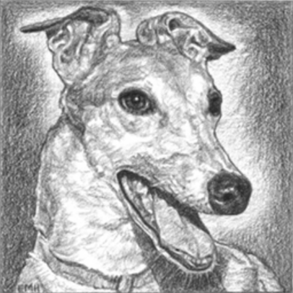 Greyhound (Drawing) Roblox decal