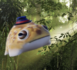 Ribbit studios RBX