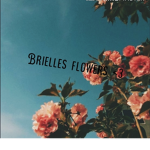 Briellessss fan group or the sushi pack!
