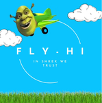 fly hi group