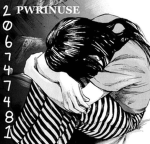 pwrinuse