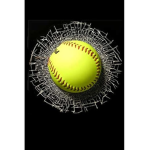 Softball for life!!!