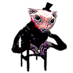 Filbus Bingus