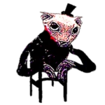 Filbus Bingus