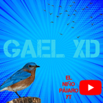 GAEL XD