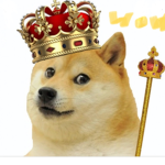 Doge fan club we heart dogs