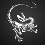Raptor Raiders