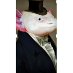Axolotlfanclub