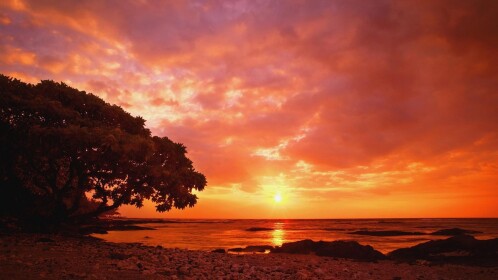sunset.