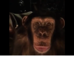 The Fearsome Monke Army