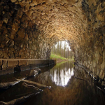 Sewer People (packgod fans)
