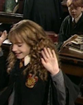 Hermione granger fam