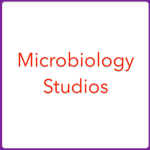 Microbiology Studios