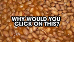 BEAN.