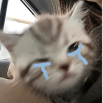 KawaiiScooty