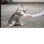 Lily and you