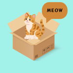 Meow Studio+