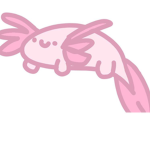 Axolotl Playground