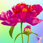 Elisabet200flower and the awessomegirll group