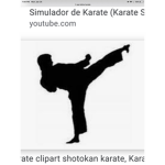 Cobra Kai roblox!