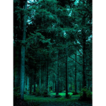 Gremlinland
