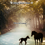 .-Misty fall stables-.