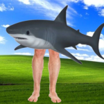 roses shark shiver