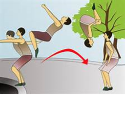 Back-flip Simulator