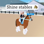 Shine stables