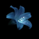 blu..clothing_ Group Thumbnail