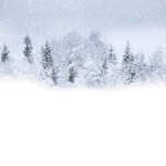 Snowyy