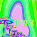 TrippyxVibes