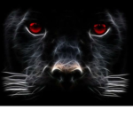 Beasts Realms