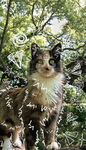 Th3rian felines