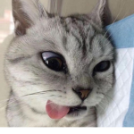 C0D3Z$