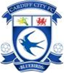 Cardiff City fan club