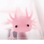 ~axolotl~friends~