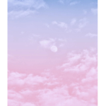 Beauty & Divine Gaming