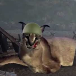 Floppa Training Camp