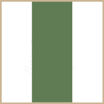 41st Elite Corps Starsim